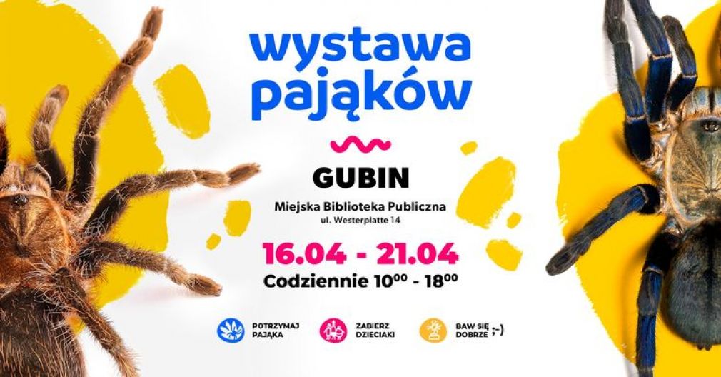 Wystawa egzotycznych pająków