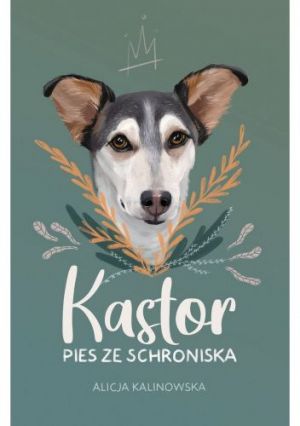 Kastor. Pies ze schroniska