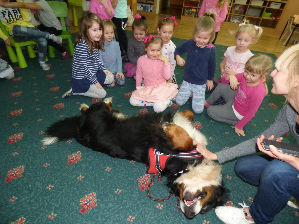 Tyle rączek do głaskania!