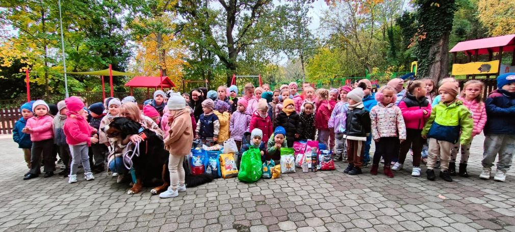Spotkanie z przyjacielem na czterech łapach