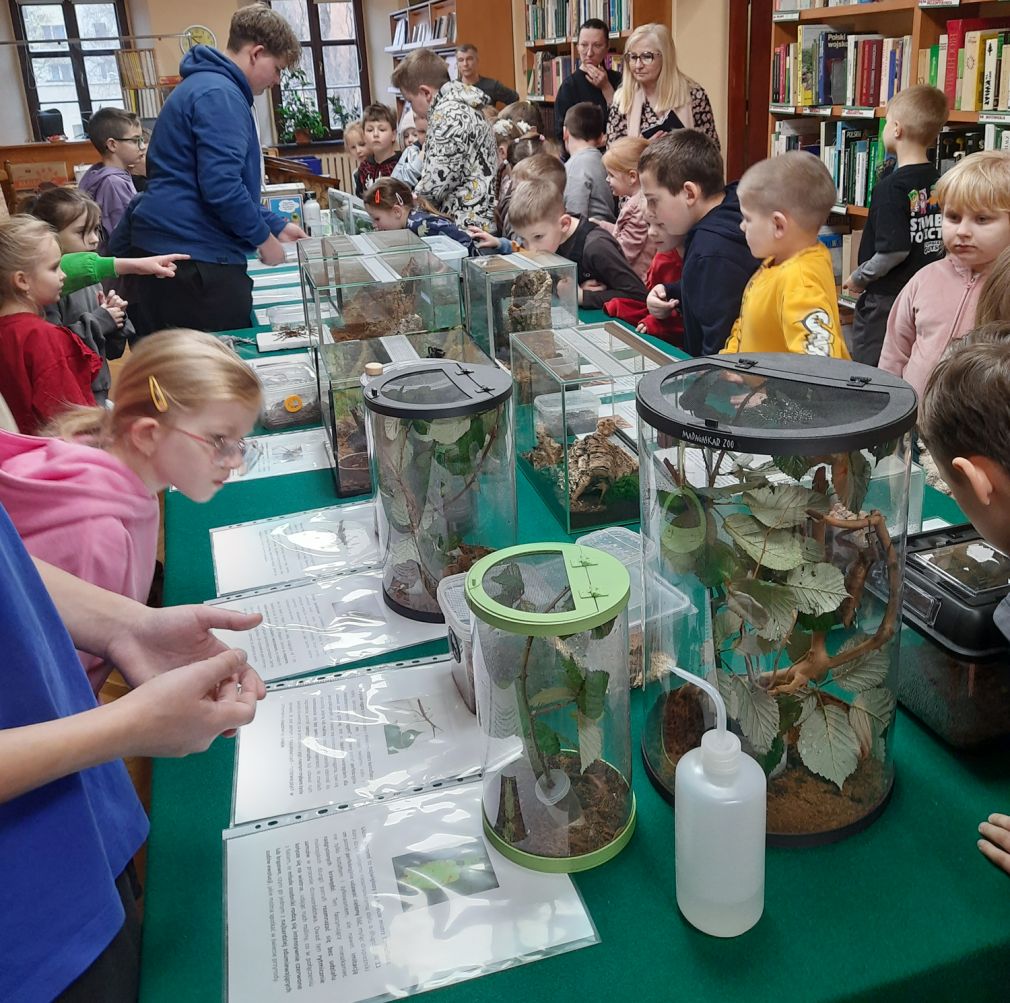 Pająki i owady w bibliotece